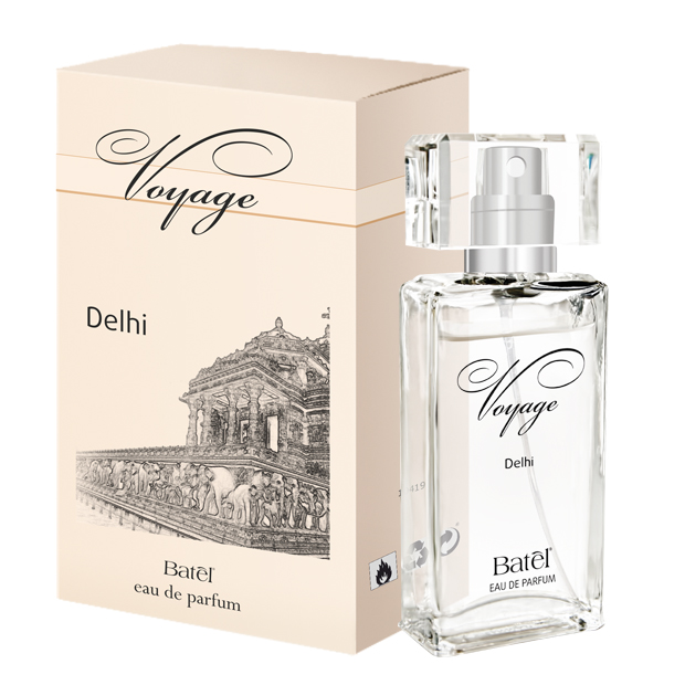Voyage Delhi